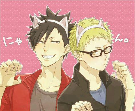 Haikyu!! The Neko.
